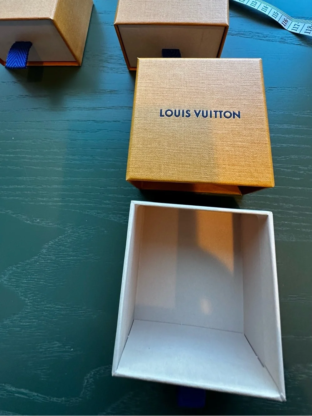 Louis Vuitton authentic louis